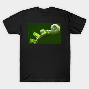 Fiddlehead T-Shirt